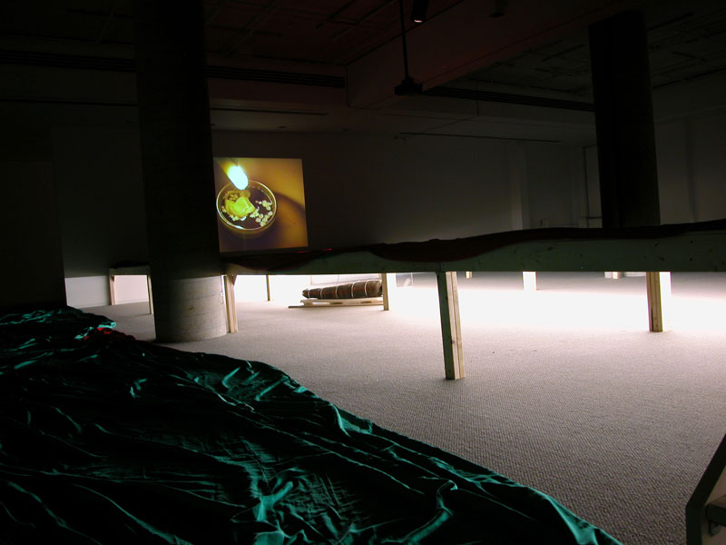 Sarkis, 2600 ans après 10 minutes 44 secondes, Galerie de l’UQAM, Montréal, 16 oct – 22 nov 2003